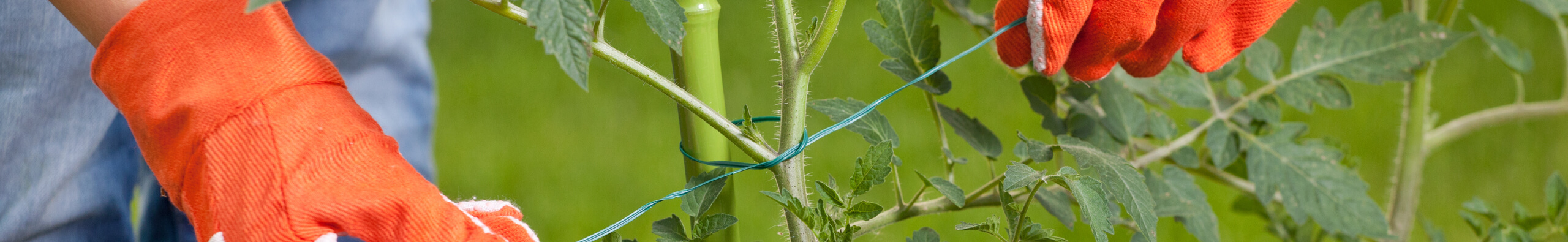 Stakes & Tree Ties